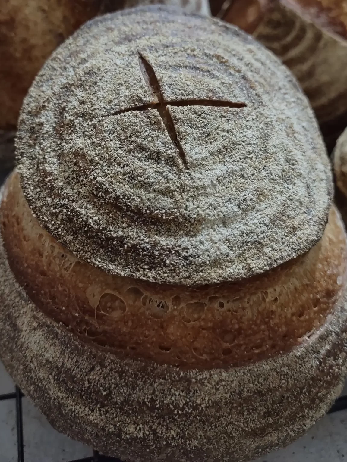 Sourdough bread bowl - Yum Yum Breads; Fairbanks, AK